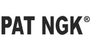 Inicio pat ngk